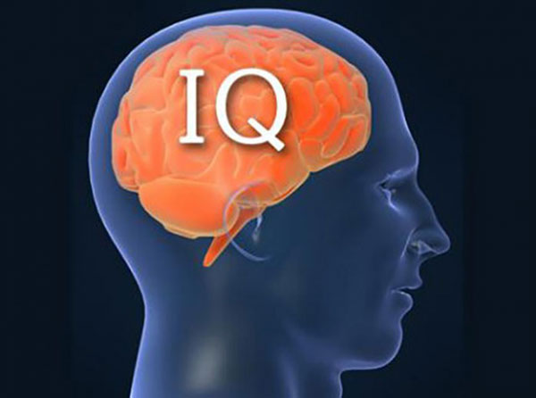    IQ